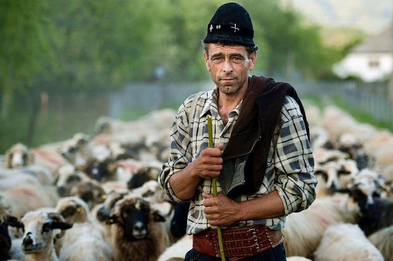 Romanian shepherd